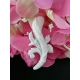 Gli assi : asso coppe , asso spade, asso bastoni, asso denari in gesso ceramico profumato