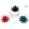 Anemone stellato 10x6