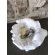 Mani in polvere di ceramica