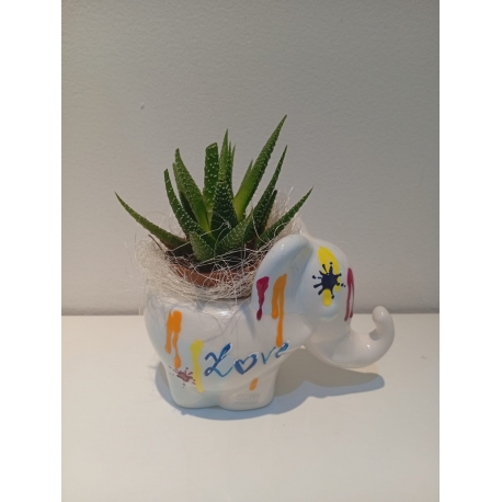 Elefantino Britt porta piantina