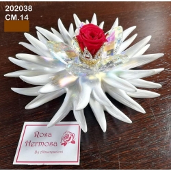 Riccio marino con fiori cristallo, corona di strass e rosa eterna