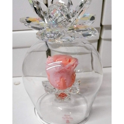 Campana vetro con doppio anemone in cristallo e rosa eterna
