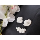 Lumaca, ape, bruco gesso ceramico profumato