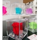 Cubo con rosa eterna e brillantini