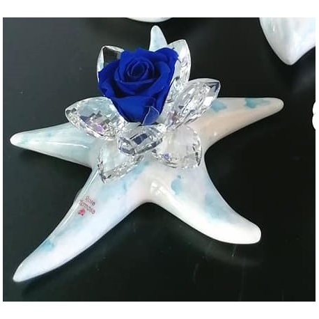Stella marina porcellana 12 cm con rosa eterna e pennellate di colore