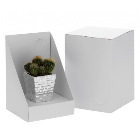 PORTAVASO QUADRO CM. 5x5x5 MATTONCINI
